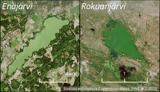 Sinilevää satelliittikuvassa